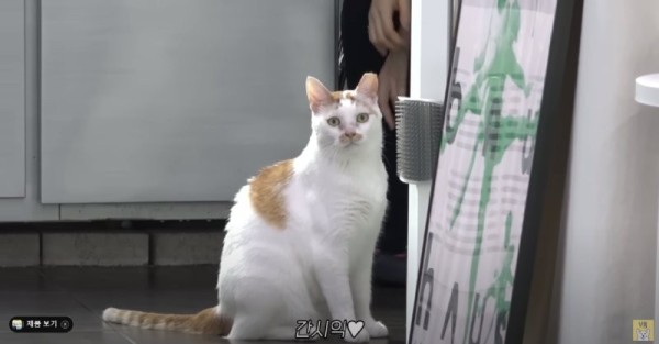 16955712596685.png
