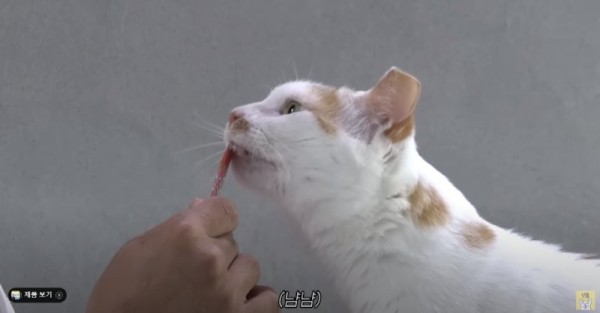 16955712622907.png