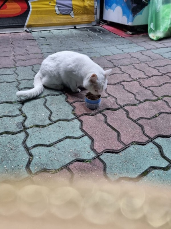16957368976851.jpg