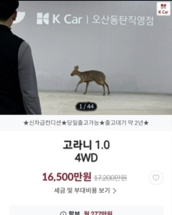 16957746976189.jpg
