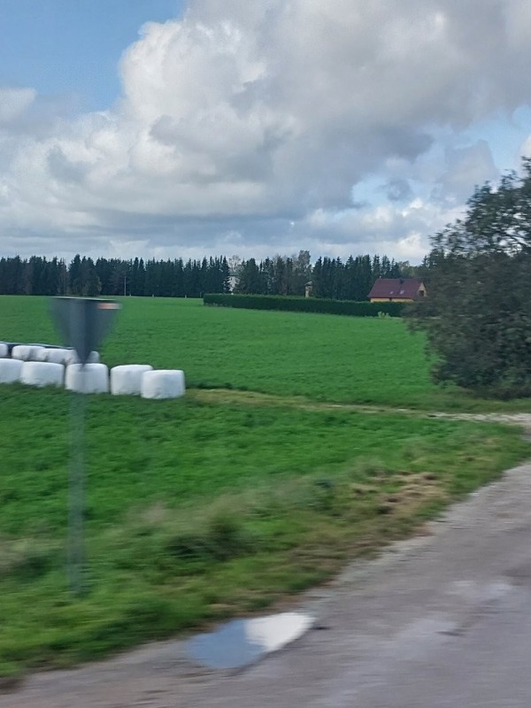 16960935774385.jpg