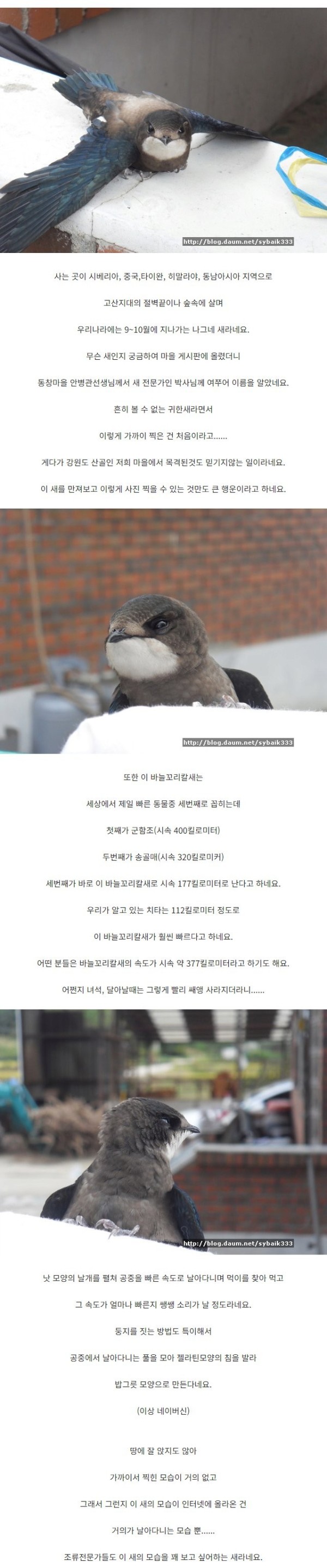 16965216644921.png