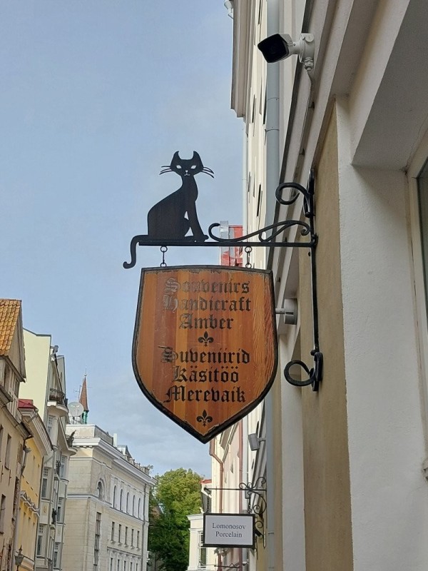 1696665671068.jpg