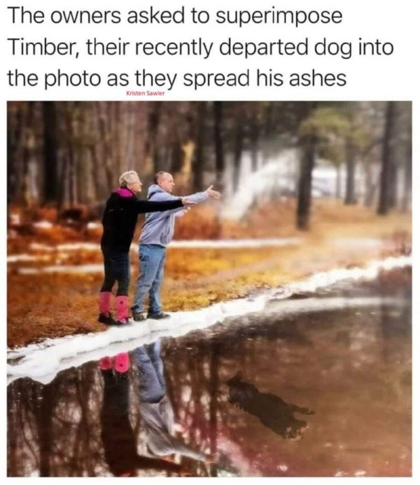 16966804272321.jpg