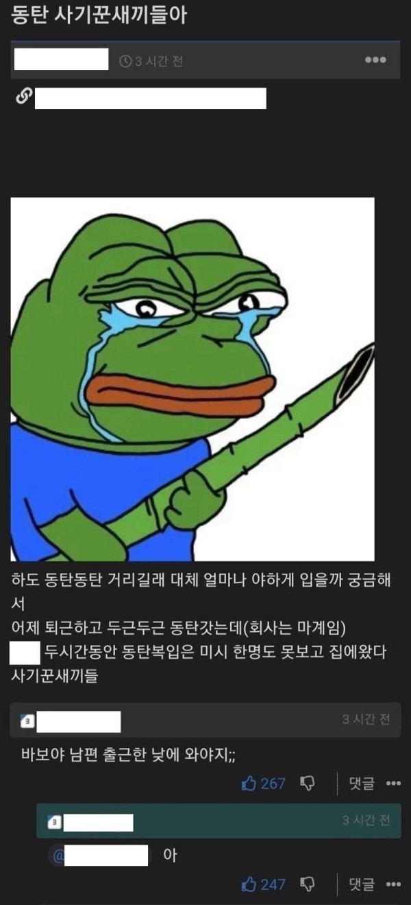 1697090501356.jpg
