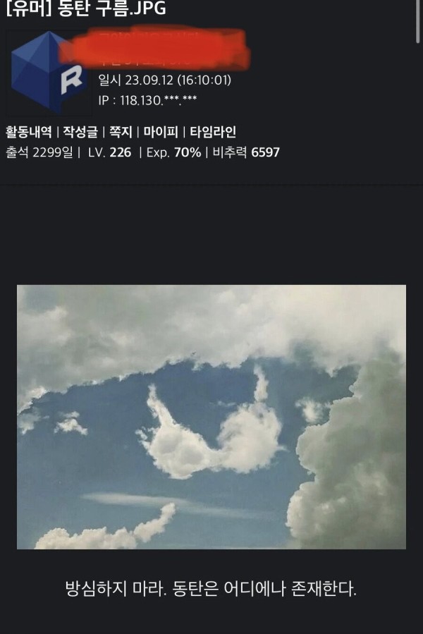 16975639025954.jpg