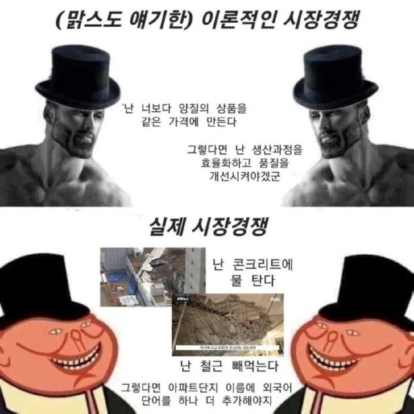 16977007011319.jpg