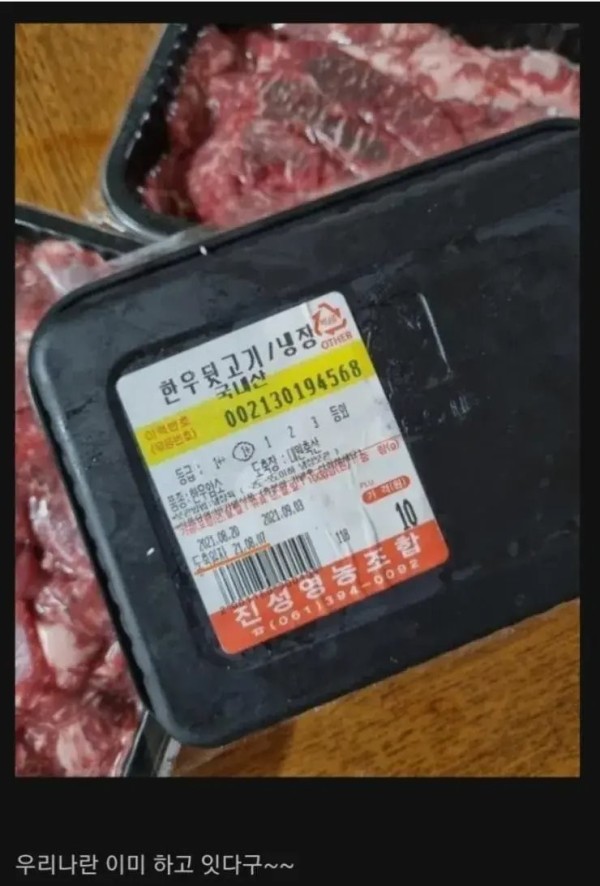 16977871034671.png