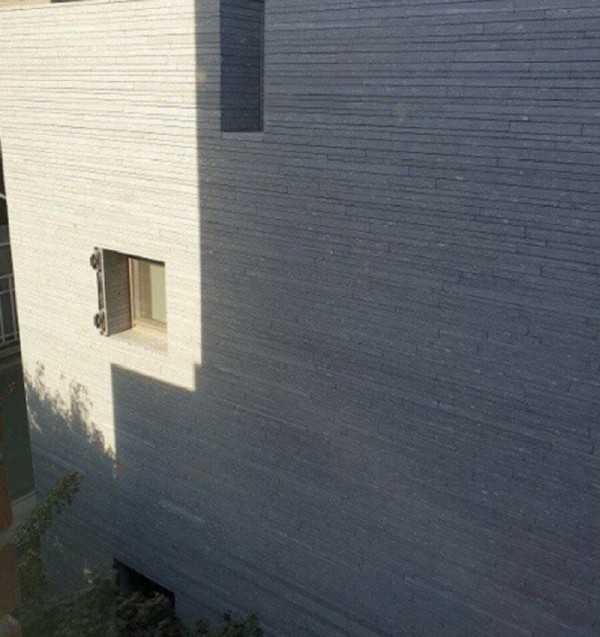 1697974291744.jpg
