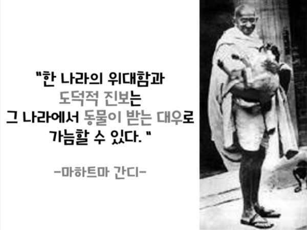 16979761066049.jpg