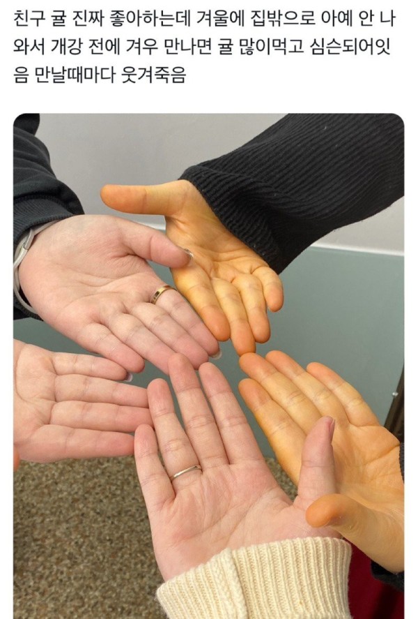 16980301017328.jpg