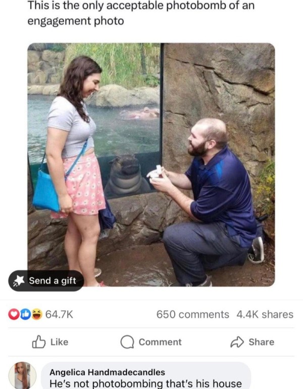 16986403006699.jpg