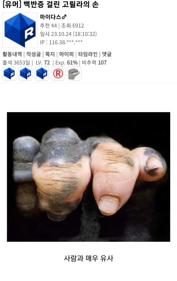 16987051068693.jpg