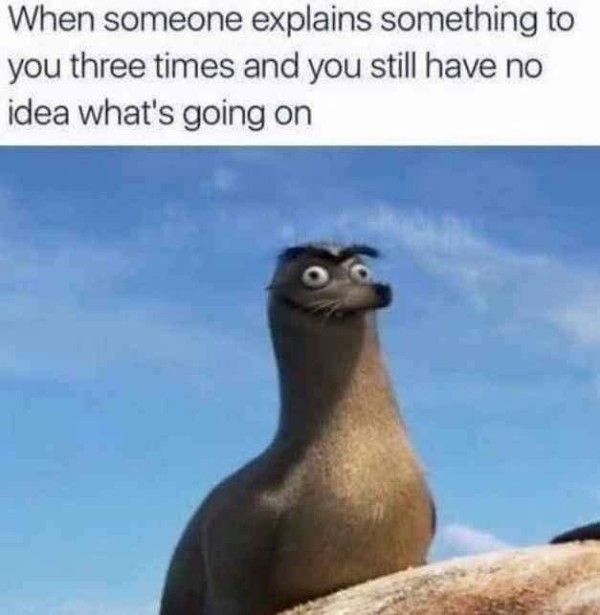 16994629024885.jpg