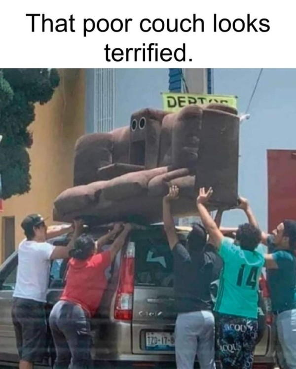 16997544562345.jpg