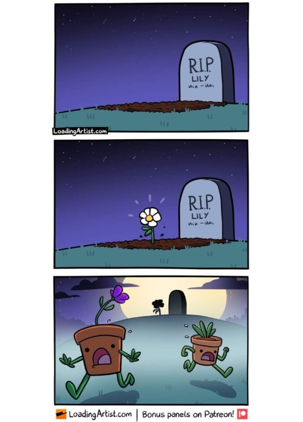 16997544621032.jpg