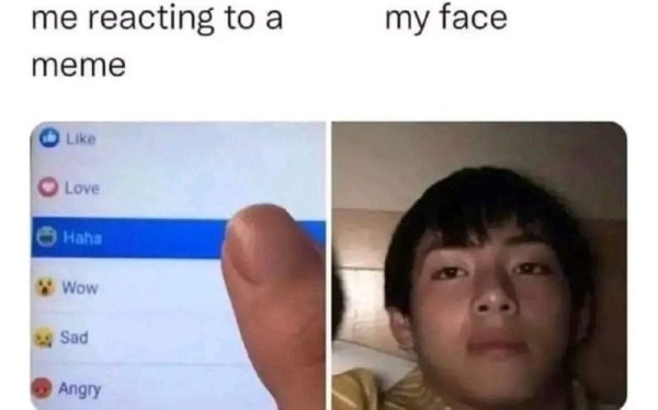 1699754469548.jpg