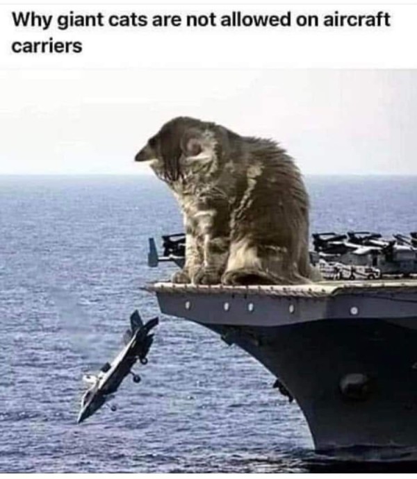 1699756280322.jpg