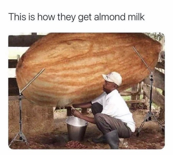 17006599050025.jpg