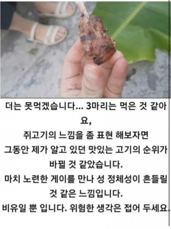 17007192522449.jpg