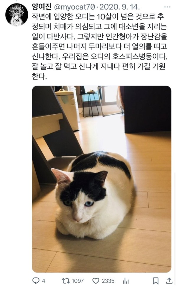 17011909021984.png