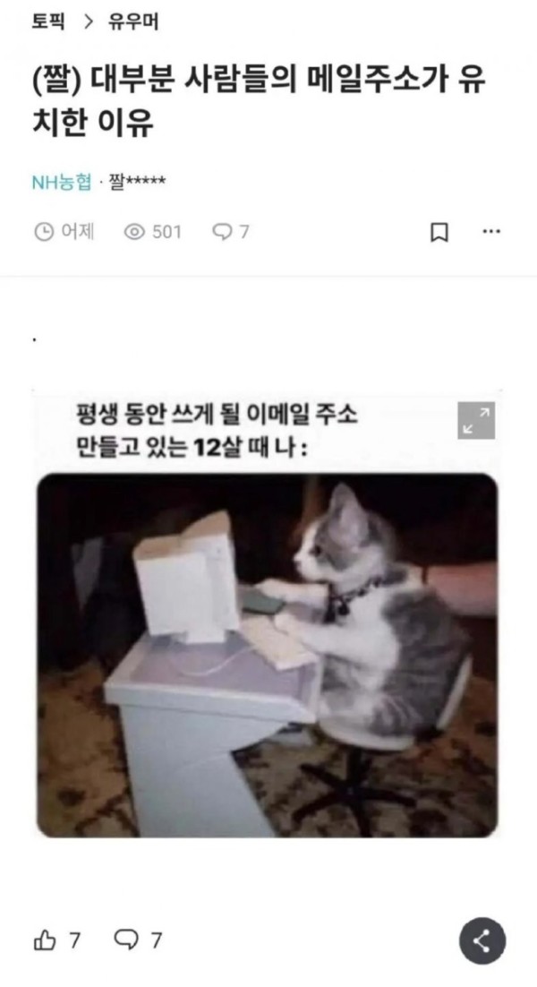 17018371039351.jpg