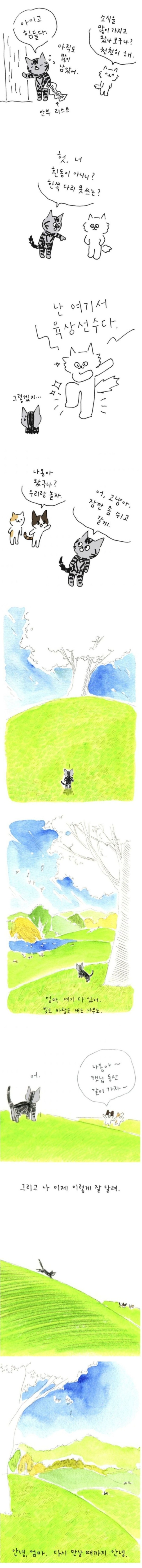 17018605003967.jpg