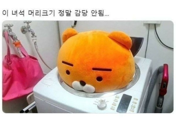 17020206910357.jpg