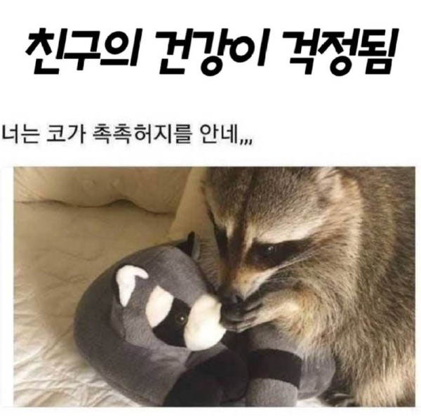 17020278911931.png