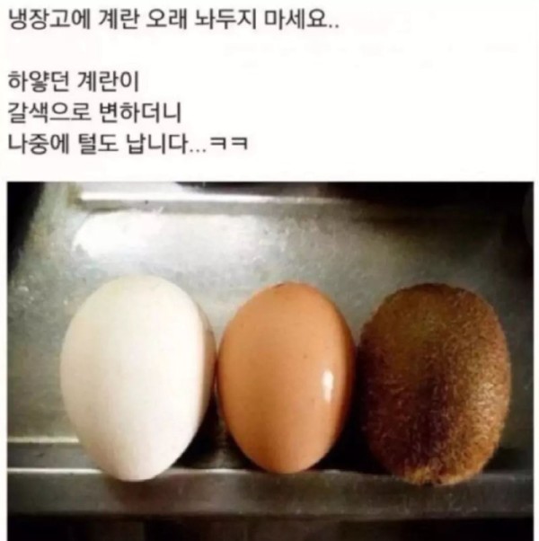 17020314911092.png