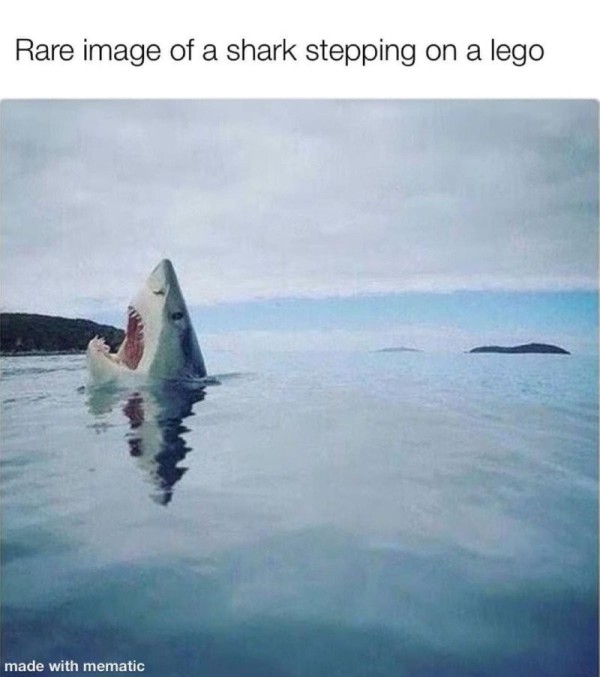 17022510982625.jpg