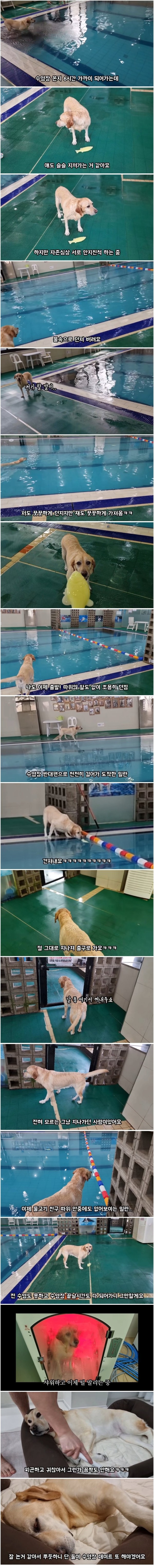 17023464951661.png