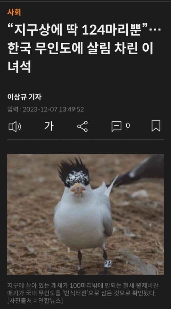 17023987015562.jpg