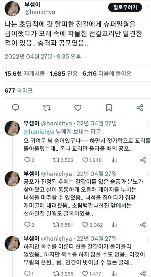 1702549900526.jpg