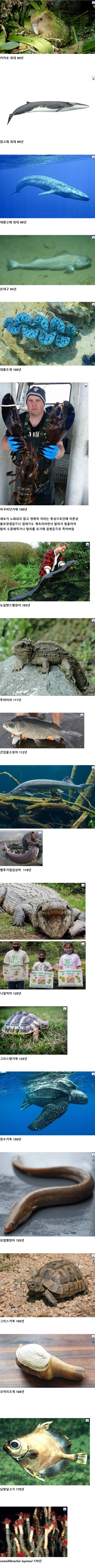 17026380877161.png