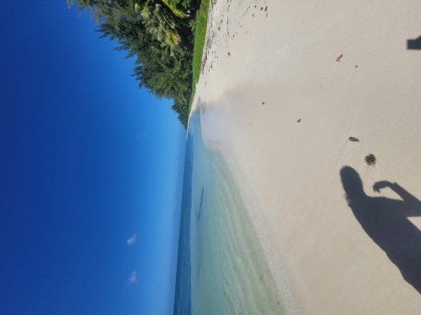 17026813016939.jpg
