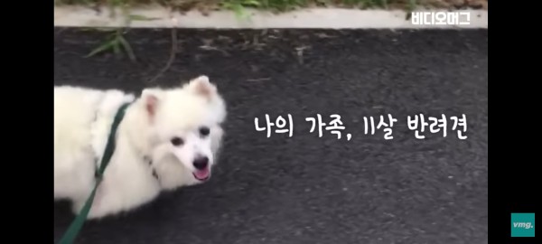17027172956212.jpg