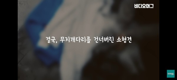17027172970556.jpg