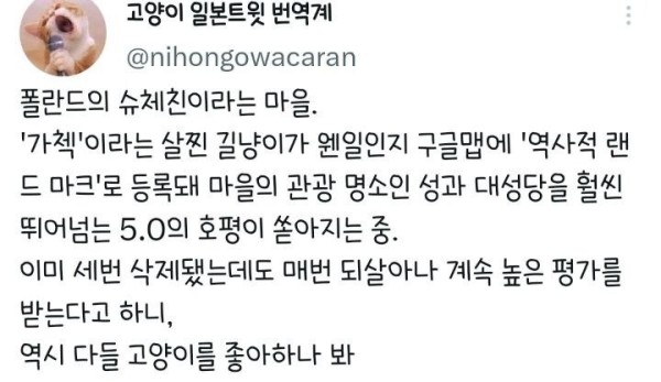 17029189037693.jpg