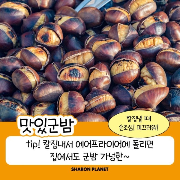 17029495037154.jpg