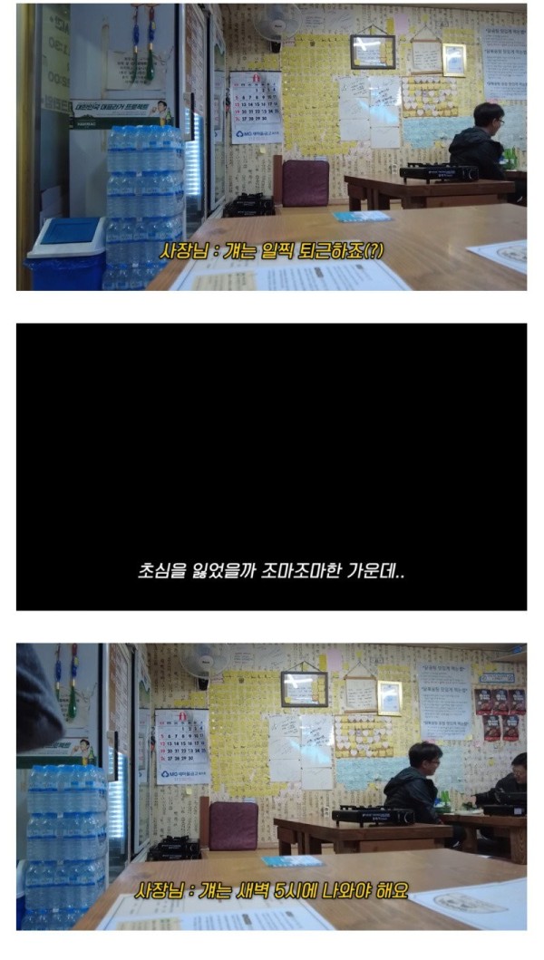 1703032296457.jpg