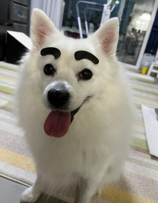 17030538998472.jpg