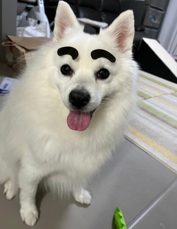 17030539003222.jpg