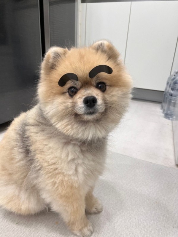 17030539012557.jpg