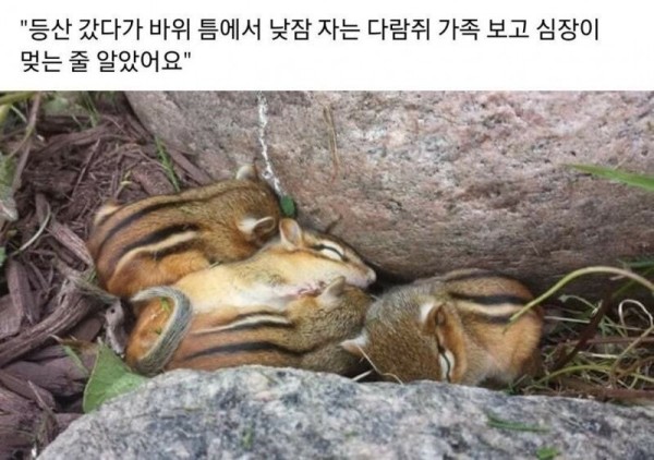17030574962166.jpg