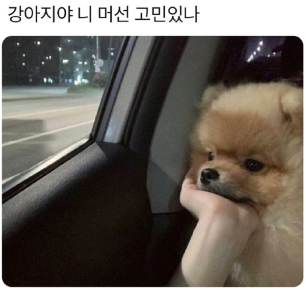 17030683056965.png