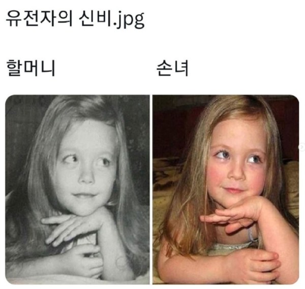 17030683075587.png
