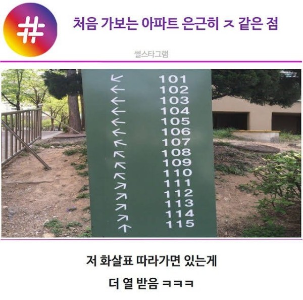 17031330980441.jpg