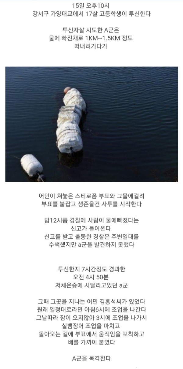 17031565060194.jpg