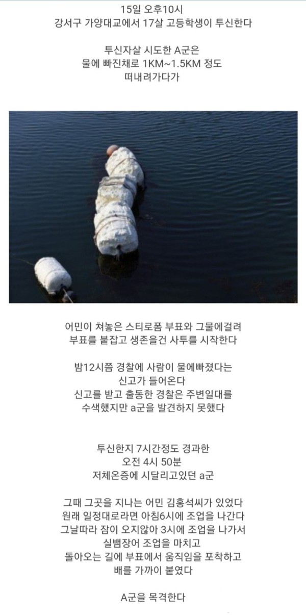 17031618920686.jpg